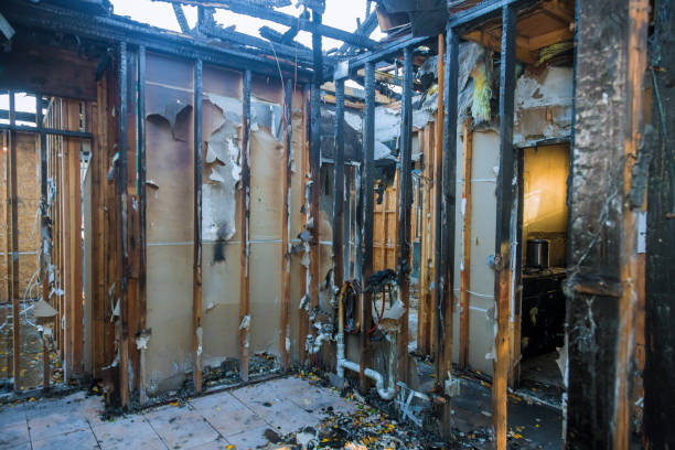 Professional Fire Damage Removal technician working in Folcroft, PA